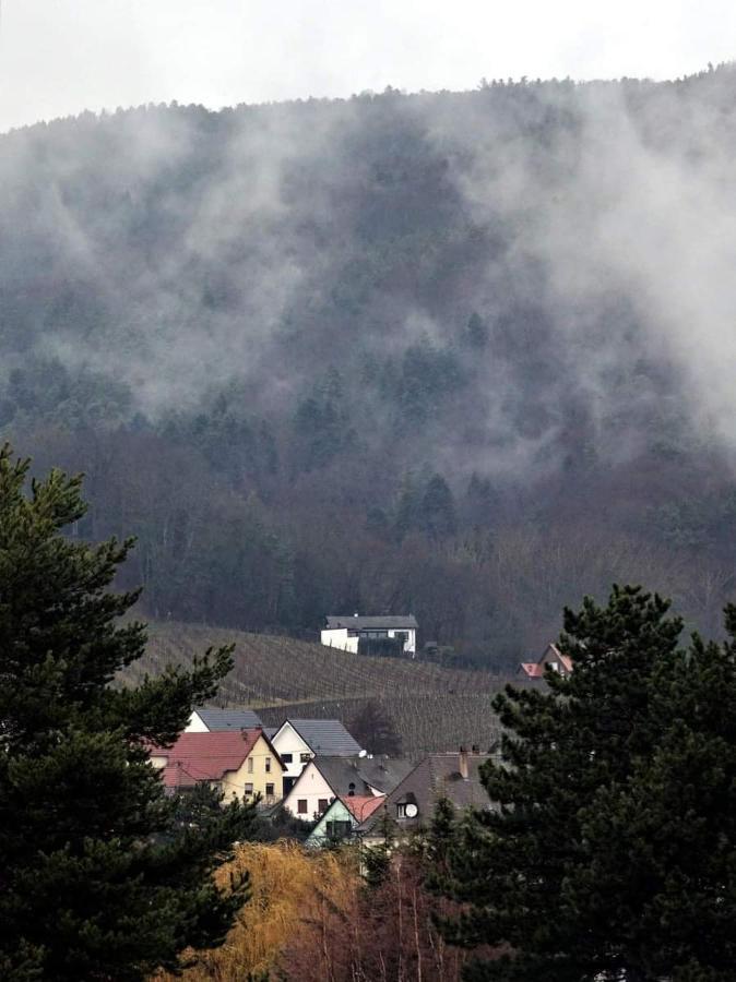 Villa Birgele Riquewihr Exterior foto